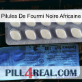 African Black Ant Pills 34